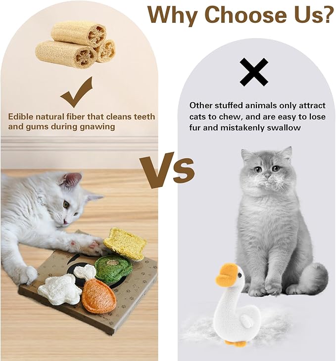 Loofah Chew Cat Toys with Catnip and SilverVine (Actinidia) for Kittens and Cats: Dental Care and Teething Comfort