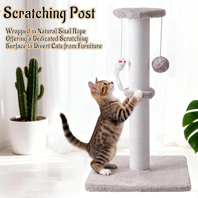 2 Pack Cat Scratching Post, 19.2in Kitten Scratcher Post, Sisal Rope with Hanging Ball and Mice for Indoor Kittens or Smaller Cats