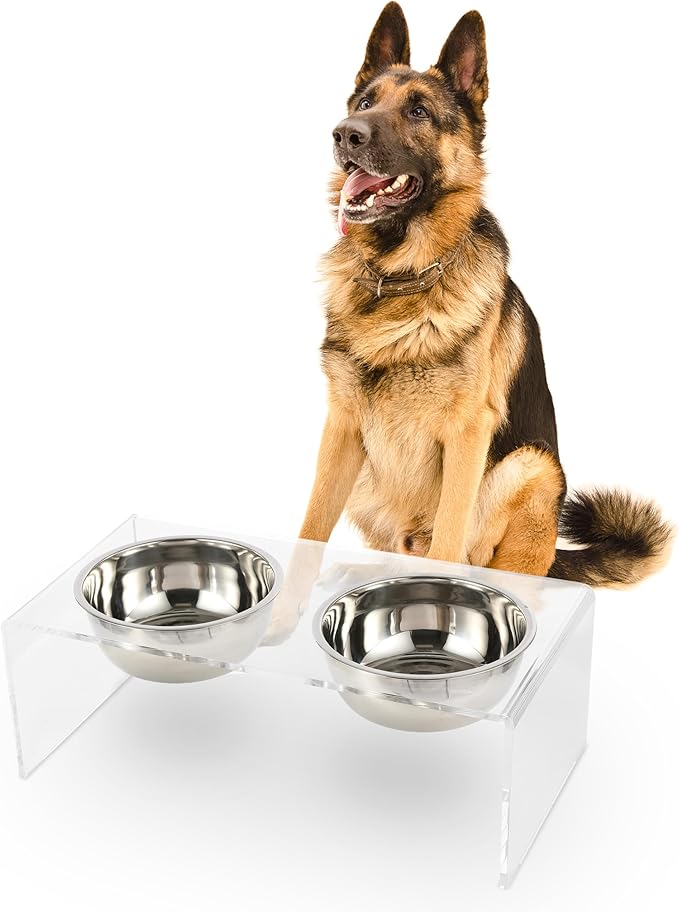 THE LICKER STORE DBL2001A Keaton 7.5" Medium/Large Modern Lucite Rectangular Elevated Pet Feeder with 54oz 2-Stainless Steel Bowls, Clear/Chrome