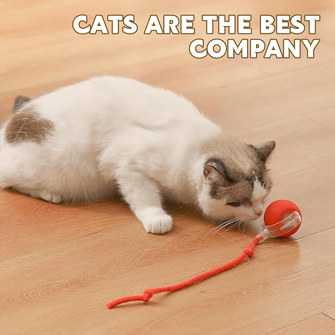 Chewie Viral Rolling Pet Ball, Interactive Cat & Dog Toy, 360 Smart Automatic Rolling Ball (Grey)