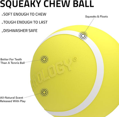 Playology Dog Toys | Squeaky Chew Ball - Bouncy Durable Floating Fetch Ball for Dogs | Jumbo Chicken Scented Toy - Easy to Clean and Made from Non Toxic Materials