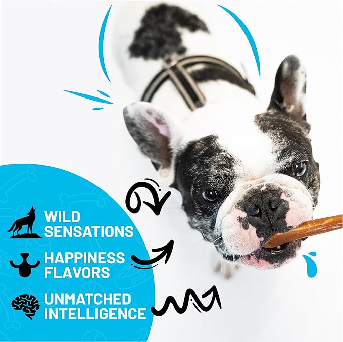 Sitka Farms Bully Sticks, Long Lasting Natural Dog Chews, 6 Inch – 40 Count