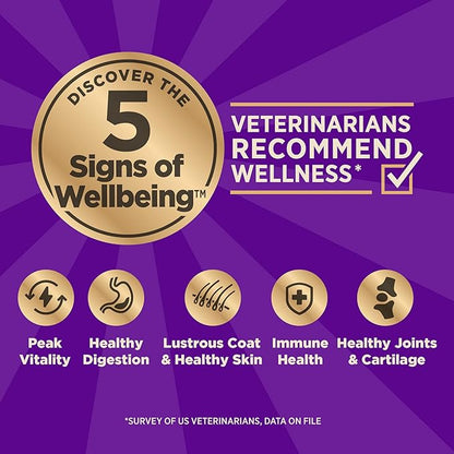 Wellness CORE Dry Dog Food, Small Breed, Grain-Free, High Protein, Natural, Healthy Weight Turkey & Chicken Recipe, (4-Pound Bag)