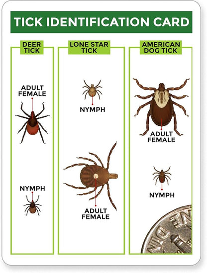 TickCheck Tick Remover Value 3 Pack - Tick Remover Tools + Tick Identification Card - for Humans, Dogs & Cats (5)