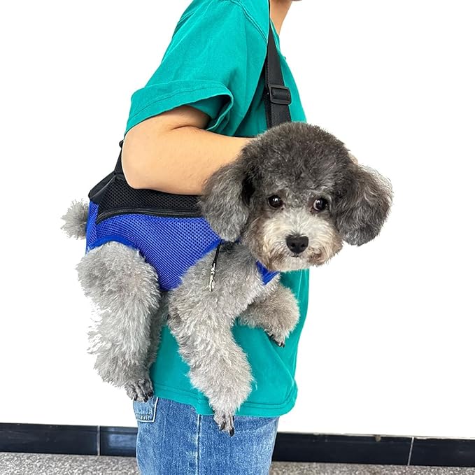 Pet Dog Carrier Backpack, Portable Breathable Mesh Chest Carrier, Polyester Woven Double Shoulder Pet Bag for Outdoor Adventures (SkyBlue, Small)