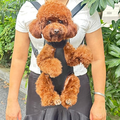 Pet Dog Carrier Backpack, Portable Breathable Mesh Chest Carrier, Polyester Woven Double Shoulder Pet Bag for Outdoor Adventures (Black, Large)