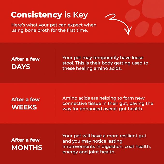 BLUEBIRD PROVISIONS Beef Bone Broth for Dogs - High Protein Bone Broth for Cats - Beef Bone Broth Powder for Dogs - Dehydrated Beef Cat Food Toppers - Dog Safe Bone Broth - Bone Broth Topper for Dogs