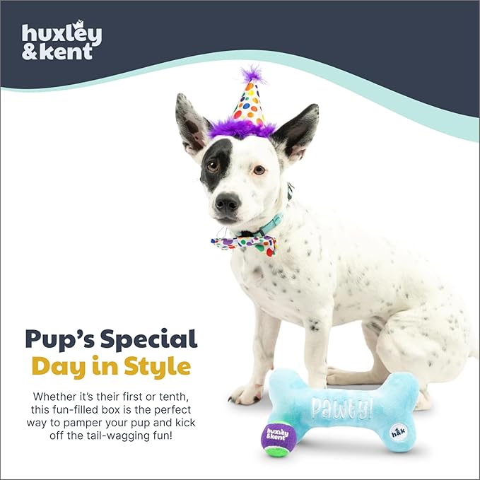 Huxley & Kent Celebration Box for Dogs - Fun Gift Set with Plush Squeaky Toys, Party Hat, Bow Tie & Banner - Birthday, Gotcha Day & Special Occasion Dog Set - Happy Barkday Box, Small