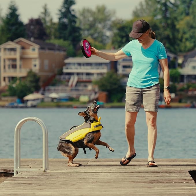 ZooBee Flying Disc Dog Toy – Dog Vision Friendly Colors – Soft & Durable Frisbee for Outdoor Play, Water Fetch & Pool Fun – Safe on Teeth – Floating Dog Toy – Lightweight & Easy to Throw