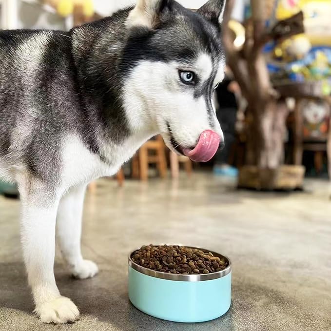 Stainless Steel Dog Bowl - Metal Water and Food Dish for Large Dogs, Insulated, Non-Slip, Easy Clean, 40oz, MintGreen