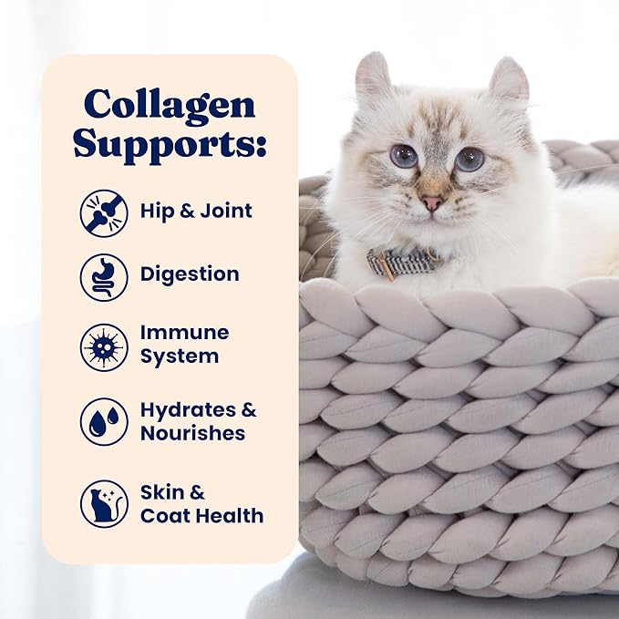 Solid Gold Bone Broth Cat Food Topper - Limited Ingredient Lickable Cat Broth Pouches w/Tuna Protein Shreds & Collagen for Hydration & Gut Support - Easy to Serve Gravy for Cats Meal Topper - 12ct