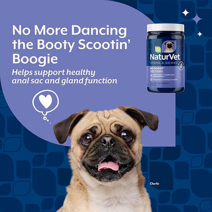 NaturVet - No Scoot for Dogs - Plus Pumpkin - Supports Healthy Anal Gland & Bowel Function - Enhanced with Beet Pulp & Psyllium Husk (5.4oz Powder)