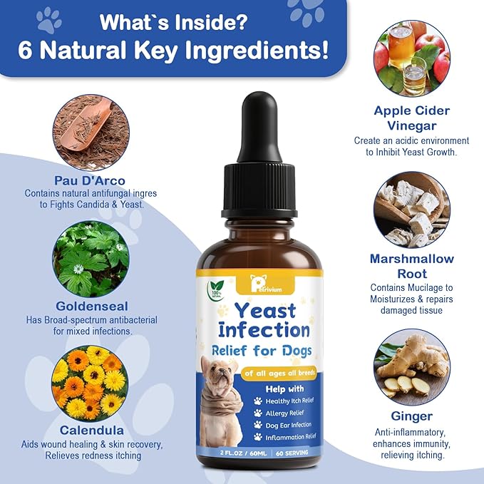 Natural Dog Yeast Infection Relief for Itchy Skin & Ear Treatment - Allergy & Paw Itching, Soothes Irritation & Reduces Inflammation Herbal Dog Supplement Drops