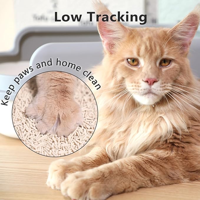 Tofu Cat Litter - Strong Clumping, Ultra Absorbent, Odor Control, Flushable, Low Tracking, Low Dust Tofu Litter Pellets - 3 Packs/18LB (Original Flavor)