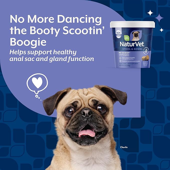 NaturVet - No Scoot for Dogs - 60 Soft Chews - Plus Pumpkin - Supports Healthy Anal Gland & Bowel Function - Enhanced with Beet Pulp & Psyllium Husk