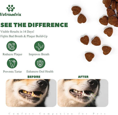 Dog Teeth Cleaning Chews, Dog Dental Chews for Plaque & Tartar Control with Natural Enzymes, Dental Care for Dogs with Probiotic, Fresh Breath for Small Medium Large Dogs