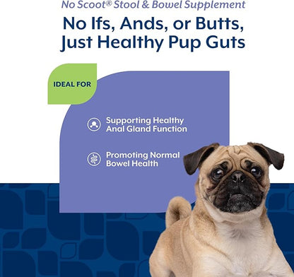 NaturVet - No Scoot for Dogs - Plus Pumpkin - Supports Healthy Anal Gland & Bowel Function - Enhanced with Beet Pulp & Psyllium Husk (5.4oz Powder)