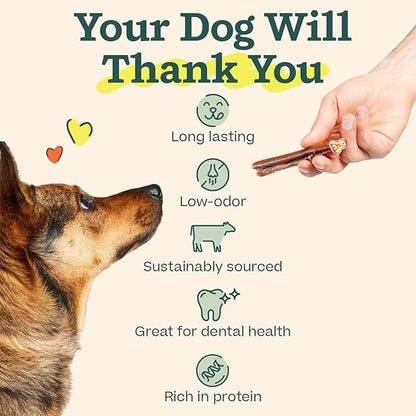 WOOF Bully Sticks Dog Treats - Chew Sticks for Dogs - Long-Lasting Dog Chew Treats - Made with Free-Range, Grass-Fed Beef - 12" Sticks - 10pk