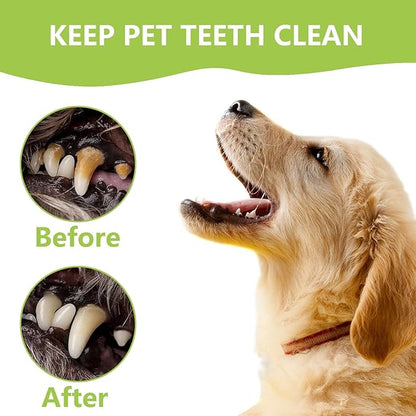 Dental Tools Pet Dog Teeth Cleaner Tool Kit, Stainless Steel Plaque Remover Dental Picks Tooth Tartar Scraper, Pets Oral Care Hygiene Set for Cats and Dogs Use with Case