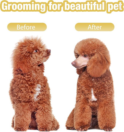 Dog Grooming Scissors Kit with Blunt Tips, 5 in 1 Professional Dog Shears for Grooming, 4CR Stainless Steel Pet Scissors, Black, Suitable for Both Hand