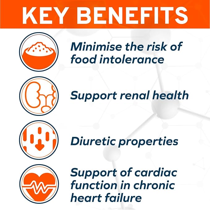 Forza10 - Cat Food, Limited Ingredient Cat Food for Kidney Support, Non-GMO, Fish Flavor, Crafted for Adults, Made in Italy (3.3 lb)