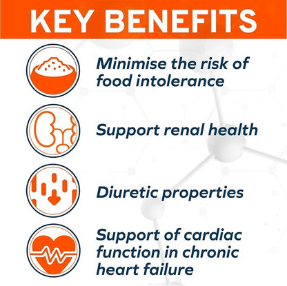 Forza10 - Cat Food, Limited Ingredient Cat Food for Kidney Support, Non-GMO, Fish Flavor, Crafted for Adults, Made in Italy (0.88 lb)