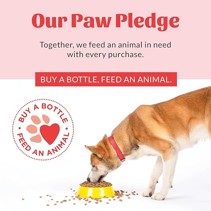 SKOUT'S HONOR Pet Deodorizer Spray- Hydrating Daily-Use with Avocado Oil & Omega-3s, Microbiome Friendly Certiified, Paraben & Sulfate-Free, 97% Natural, 8oz, Sunkissed Coconut