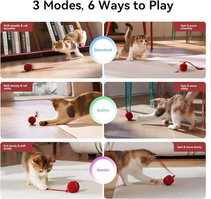 Cheerble 2 in 1 Interactive Cat Toys for Indoor Cats - Wicked Ball Duo2 Automatic Cat Toy, Dual Interchangeable Shells, Electric Cat Toy Ball with Chirping Sounds, Rechargeable Moving Kitten Toys, Red