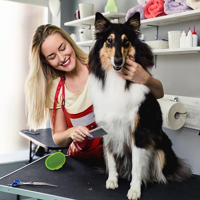 Lilpep 2PCS Stainless Steel Metal Dog Comb, For Removing Tangled Mats And Massaging Pet Combs, Professional Pet Grooming Tools