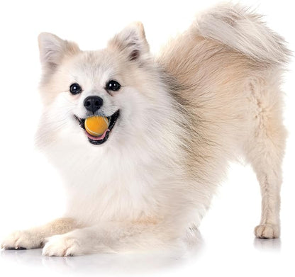 Playology Dog Toys | Squeaky Chew Ball - Bouncy Durable Floating Fetch Ball for Dogs, Value 3-Pack | Small Cheddar Cheese Scented Toy - Easy to Clean and Made from Non Toxic Materials