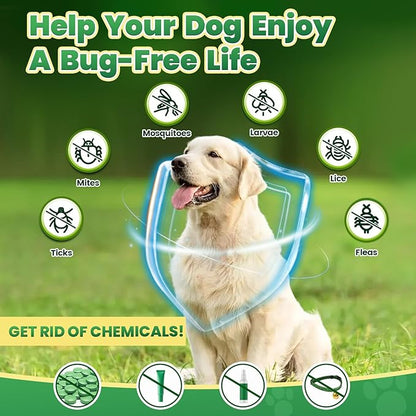 Flea and Tick Prevention for Dogs, 200 Natural Soft Chewables Flea and Tick Support with Vitamins & Fish Oil, Oral Flea Chews Supplement for Dogs -All Breeds, Puppy to Senior Dog, Chicken Flavor