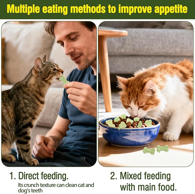 Freeze Dried Cat Treats All Natural Healthy Chicken Chewy Cats Snacks for All Breed