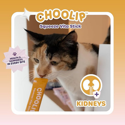 Choolip Squeeze Vita Stick Lickable Cat Treats & Dog Puree – 7-Count Kidney Support Tubes, Creamy Grain-Free Hydrating Puree, High-Protein Multivitamin Treats for Urinary & Kidney Health