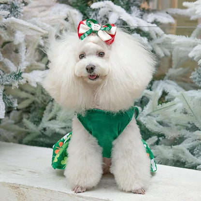 CuteBone St.Patrick's Day Dog Green Dress Velvet for Small Dogs Girl Puppy Dresses Clover Dog Clothes CVA13XS-D
