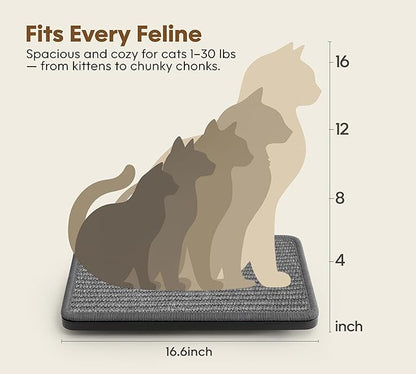 Cat Wall Shelves Set of 2, Black Solid Wood Cat Lounging Shelf with Grey Sisal Cushion, Wall-Mounted Space-Saving Climbing Shelf, Window Perch for Kittens & Cats, Black Furniture for Indoor