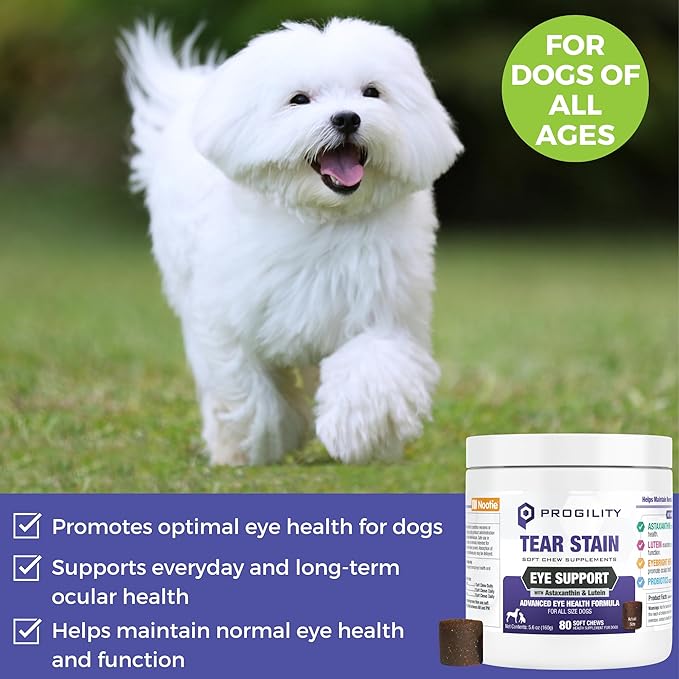 Nootie Progility Tear Stain Supplement for Dogs, Advanced Eye Health Formula, Helps Minimize Tear Stains, 80 Chews, Sold in Over 5,000 Vet Clinics and Pet Stores Worldwide