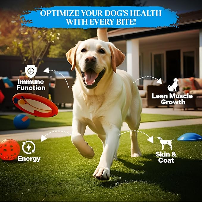 Healthy Dogma - PetMix Dehydrated Dog Food – Fish Dinner with Wild-Caught Alaskan Salmon & Whitefish – Clean Ingredient Dog Food – No Preservatives 10lbs (Bucket)