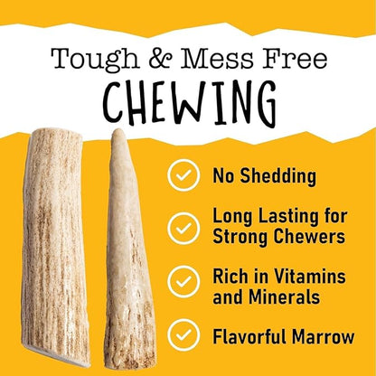 Snatchers Deer Antlers for Mild to Aggressive Chewers – Durable, Naturally Shed Antlers for Dogs Processed in The USA, No Additives (Medium, 5-7", 1 Count)