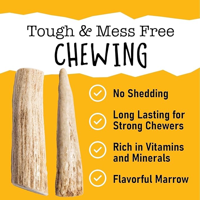 Snatchers Deer Antlers for Mild to Aggressive Chewers – Durable, Naturally Shed Antlers for Dogs Processed in The USA, No Additives (Small, 4-5", 1 Count)