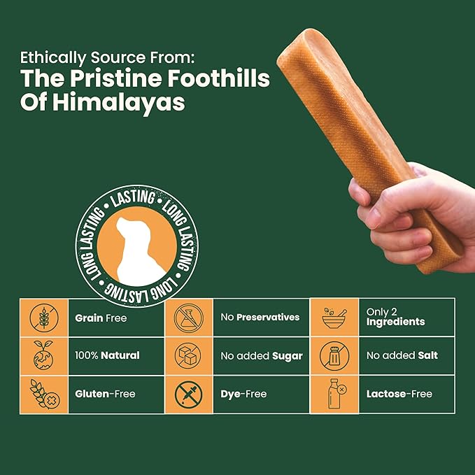 Authentic Himalayan Yak Cheese for Dogs - XXLarge (Pack of 1) - Sourced from Pristine Himalayan Foothill, Rawhide-Free, NO preservatives