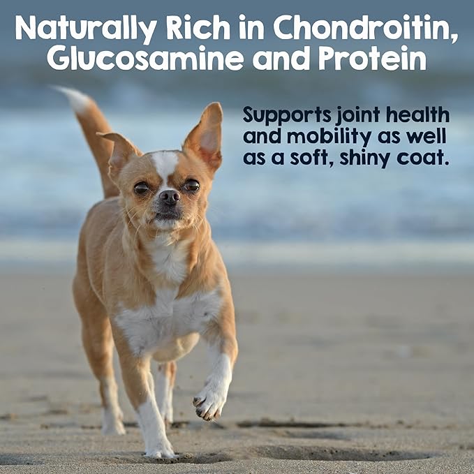 Riley's Steer Bully Sticks for Tiny to Small Dogs - Odor Free Single Ingredient Chew Treat - Easily Digestible, 100% Beef Pizzle Sticks for Dogs - 4-6", 10ct