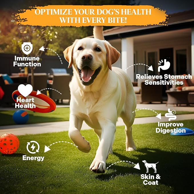 Healthy Dogma - PetMix Dehydrated Dog Food - Food for Dog Sensitive Stomach, Clean Ingredient Dog Meal - No Preservatives, Homemade Dog Food (Tender Tummy, 2 lbs)