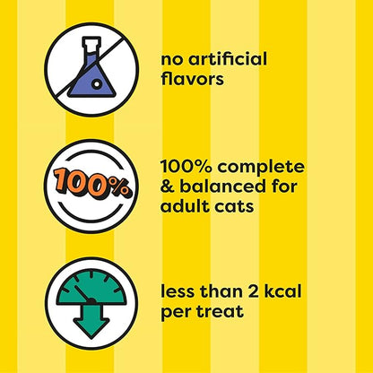 Temptations Classic Crunchy and Soft Cat Treats, Savory Salmon Flavor, 6.3 oz. Pouch (Pack of 10)