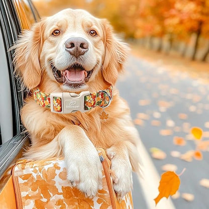 Fall Dog Collar Cute Autumn Leaves Puppy Collar - Light Comfortable Adjustable Pet Collars for Small Medium Large Girl Boy Dogs M