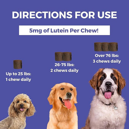 Nootie Progility Tear Stain Supplement for Dogs, Advanced Eye Health Formula, Helps Minimize Tear Stains, 80 Chews, Sold in Over 5,000 Vet Clinics and Pet Stores Worldwide