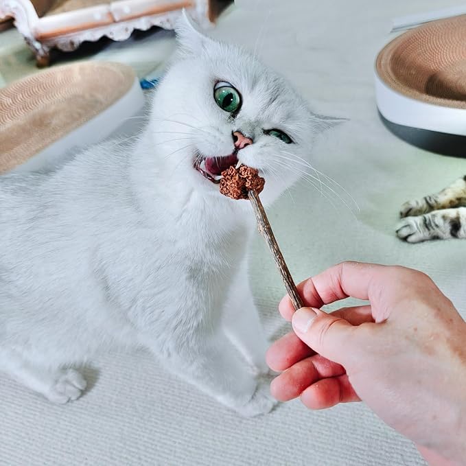 4 PCS Silvervine Stick Cat Toy with Gall Fruit – Natural Lollipop-Shaped Matatabi Chew Toy for Cats – Catnip Alternative for Teeth Cleaning, Anxiety Relief & Interactive Play – 4.8" Cat Dental Toy