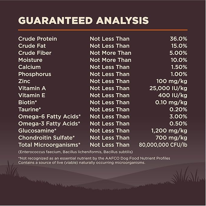 Wellness CORE Dry Dog Food, Small Breed, Grain-Free, High Protein, Natural, Original Turkey & Chicken Recipe, (12-Pound Bag)