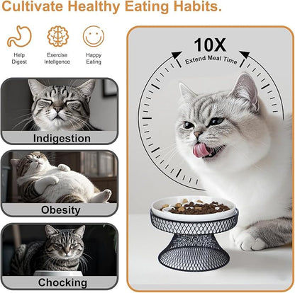 Raised Ceramic Cat Slow Feeder Bowl Elevated Food Bowl with Stand, Cat Slow Bowl for Wet Food and Dry Food, Whisker Friendly Pet Feeder for Kitty and Small Dog