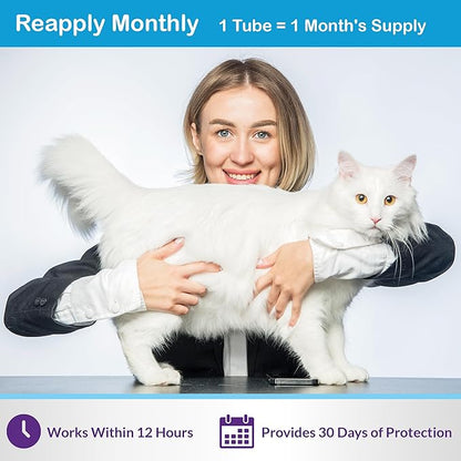 Flea and Tick Prevention for Cats & Kittens: Waterproof Topical Cat Flea and Tick Treatment – Fast-Acting & Long-Lasting At Home Flea Control for Cats Over 1.5 lbs and 8 Weeks or Older – 6 Dose Supply