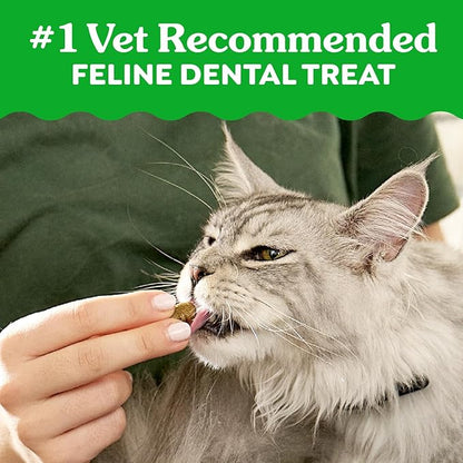 Greenies Feline Veterinarian-Recommended Adult Natural Dental Cat Treats, Savory Salmon Flavor, 4.6 oz. Pouch